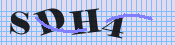 CAPTCHA-Bild